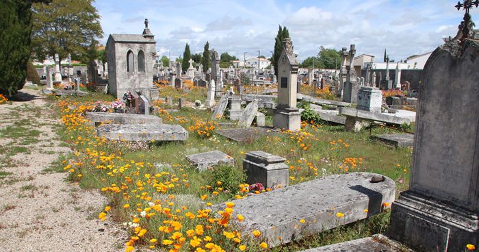 Image cimetière
