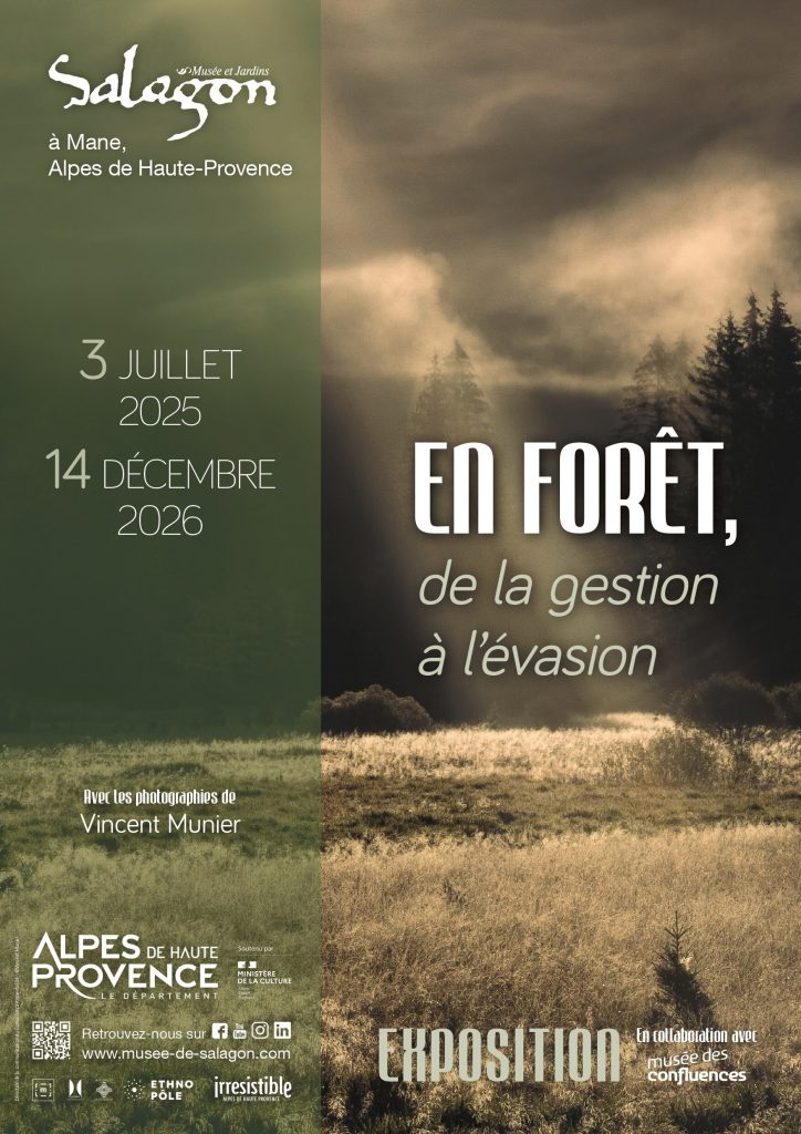 Affiche expo en forêt